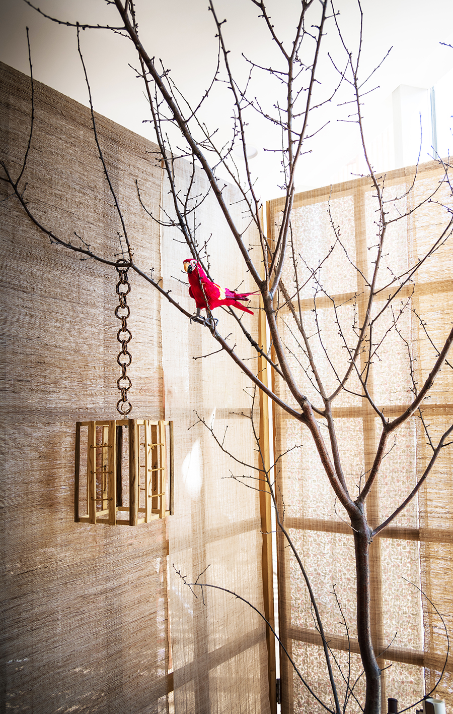 DSC_3657.jpg DSC_3657.jpg