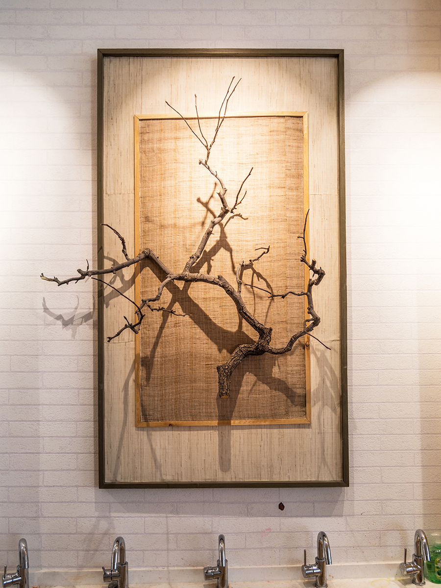 DSC_3583.jpg DSC_3583.jpg