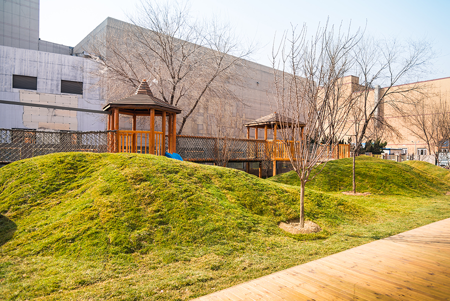 DSC_3529.jpg DSC_3529.jpg